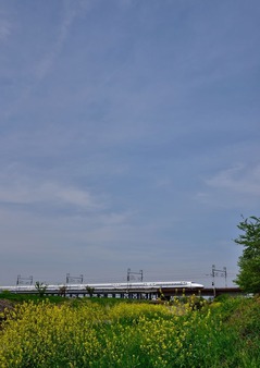 DSC_5861