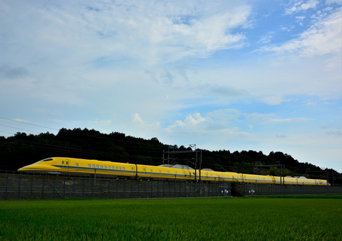 DSC_6350