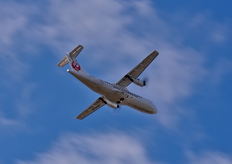 DSC_2525
