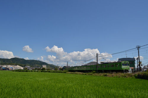 Dsc_0695_2