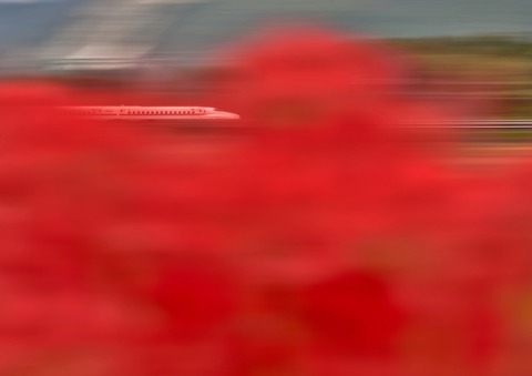 DSC_9887