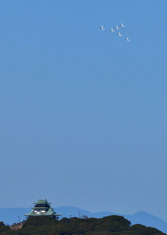 DSC_0642
