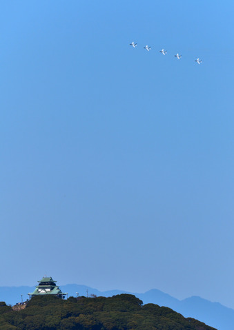 DSC_0718