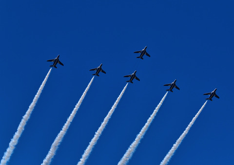 DSC_0505