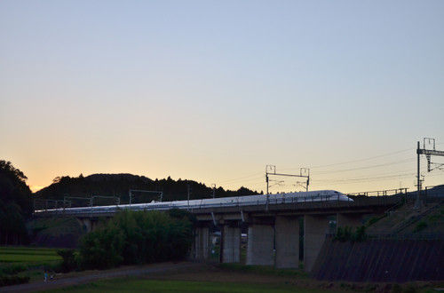 Dsc_1966_2