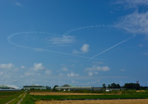 DSC_5499