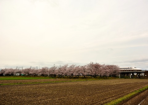 DSC_9041