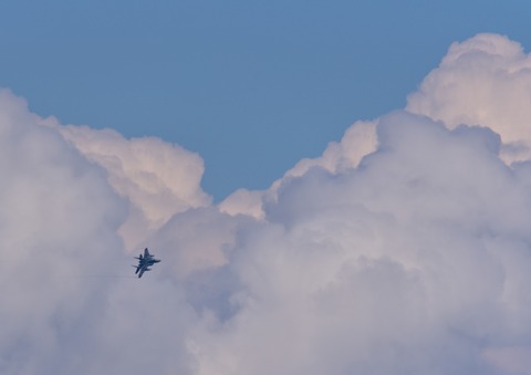 DSC_8118