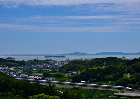 DSC_4475