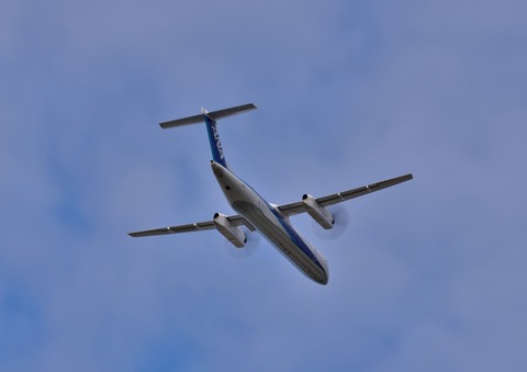 DSC_1786