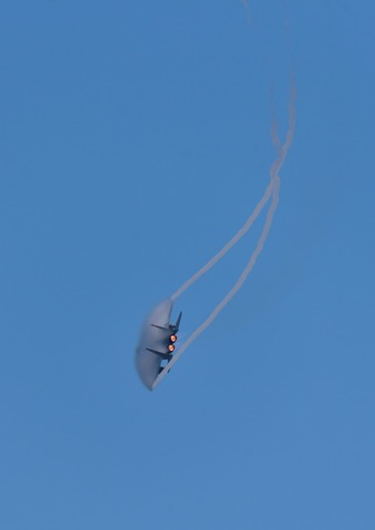 DSC_7313