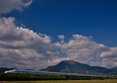 DSC_8375