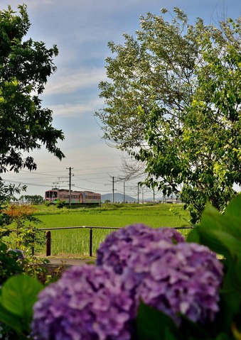 DSC_1228
