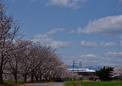 DSC_4197