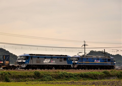 DSC_4588