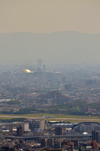 Dsc_7131 Dsc_7131