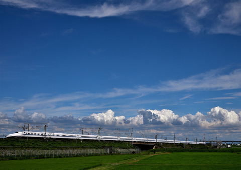 DSC_4095