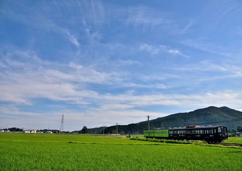 DSC_1243