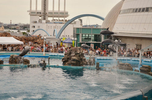 Dsc_1490_2