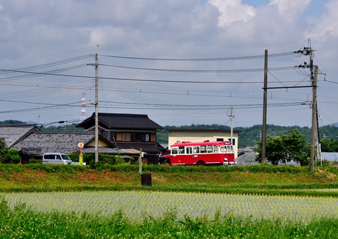 DSC_1045