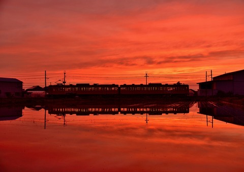 DSC_1856