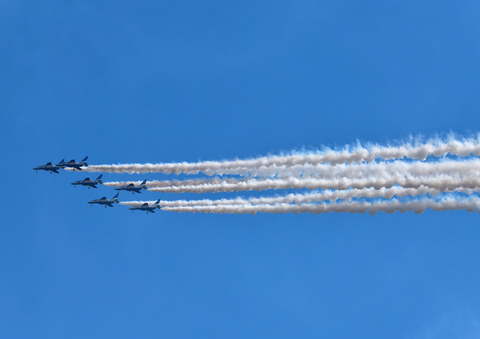 DSC_0553