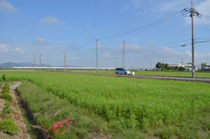 Dsc_6539_2 Dsc_6539_2