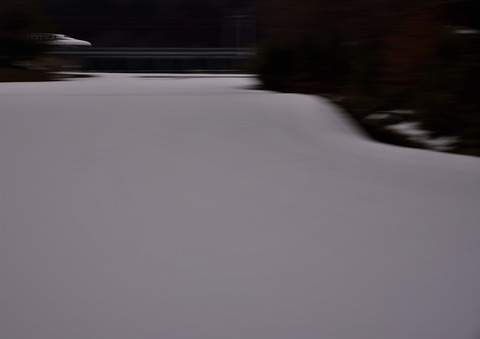 DSC_2997