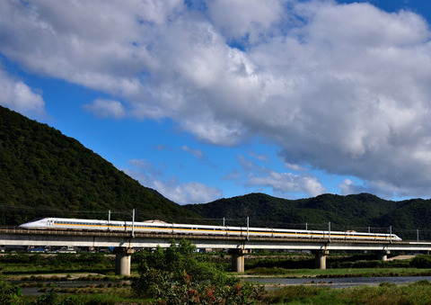 DSC_1390
