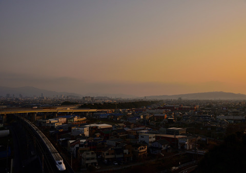 DSC_6646