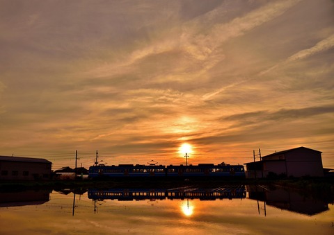 DSC_1778