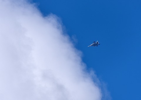 DSC_8191
