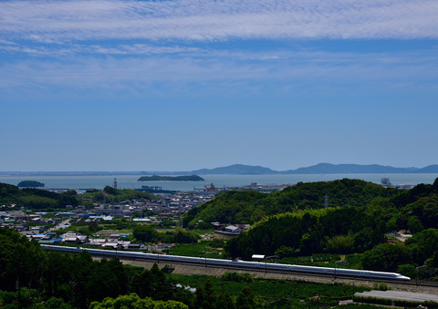 DSC_4459