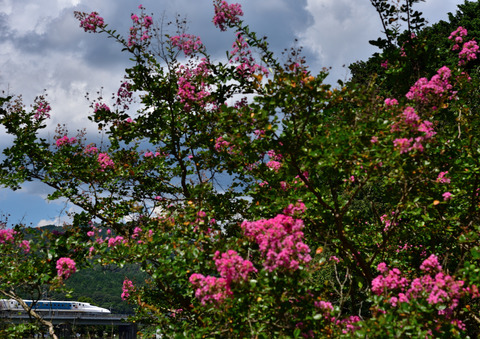 DSC_6797