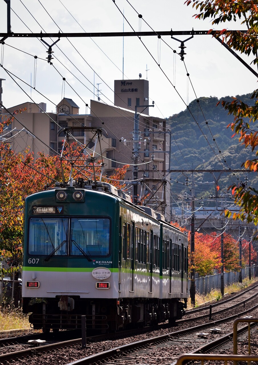 紅葉 すずパパの気ままブログ