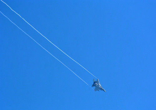 Dsc_2025_2 Dsc_2025_2