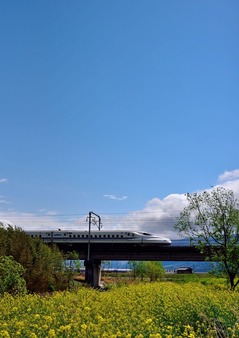 DSC_5616