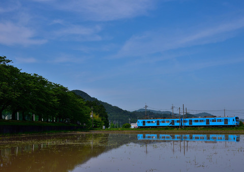 DSC_4049