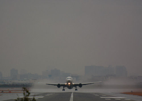 Dsc_3170 Dsc_3170