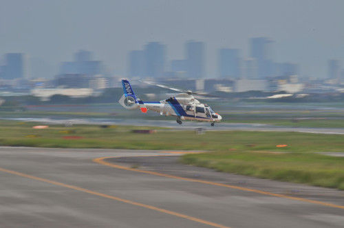 Dsc_5008 Dsc_5008