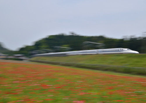Dsc_7722