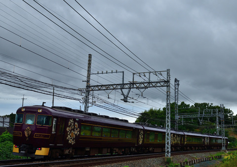 DSC_1305