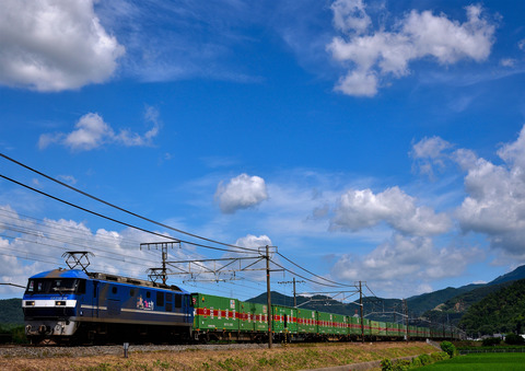 DSC_6852