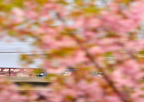 Dsc_1437
