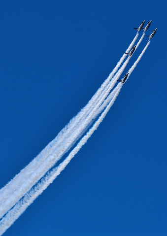 DSC_0793