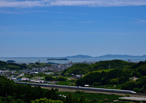 DSC_4469