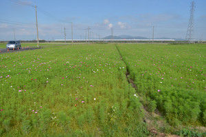 Dsc_6538_2 Dsc_6538_2