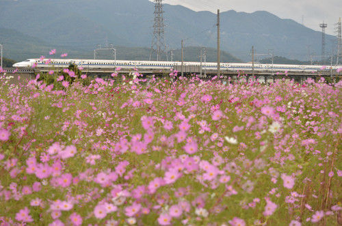 Dsc_6639_3 Dsc_6639_3