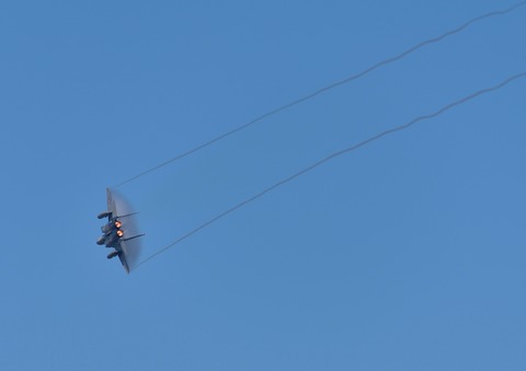 DSC_7341