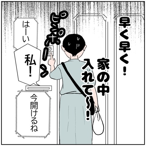33-6